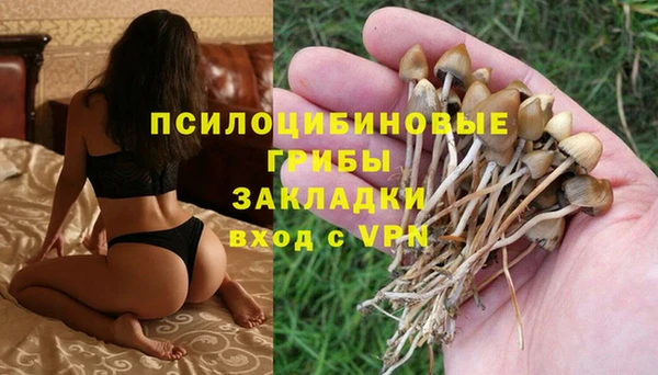 герыч Алексеевка