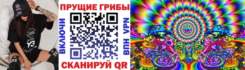 Псилоцибиновые грибы прущие грибы  Мамадыш 