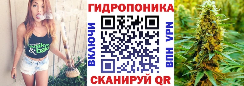 Бошки Шишки ГИДРОПОН  ссылка на мегу как войти  Мамадыш  купить  цена 
